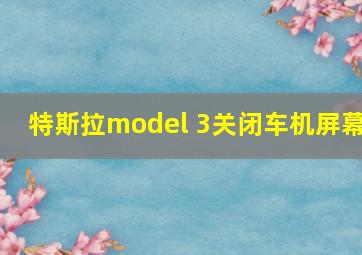 特斯拉model 3关闭车机屏幕